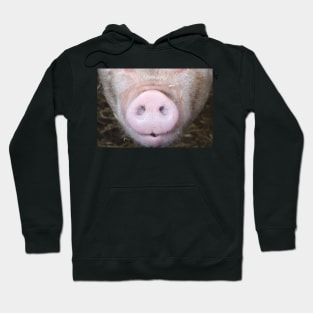 Pig Snout Hog Face Hoodie